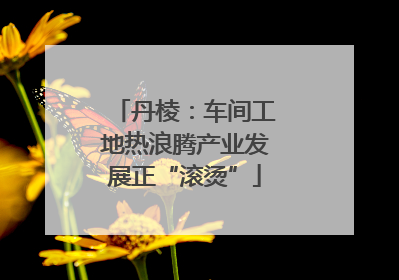 丹棱：车间工地热浪腾产业发展正“滚烫”