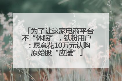为了让这家电商平台不“休眠”，铁粉用户：愿意花10万元认购原始股“应援”