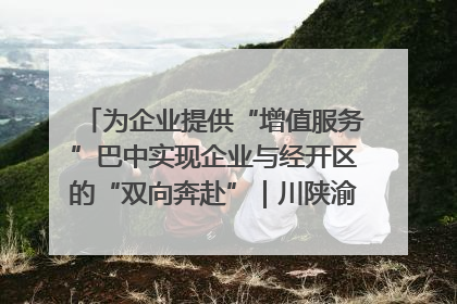 为企业提供“增值服务”巴中实现企业与经开区的“双向奔赴”｜川陕渝网络名人巴中行