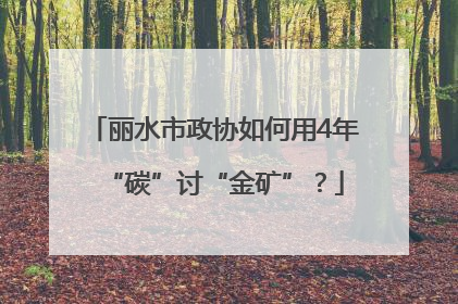丽水市政协如何用4年“碳”讨“金矿”？