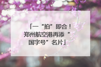 一“拍”即合！郑州航空港再添“国字号”名片