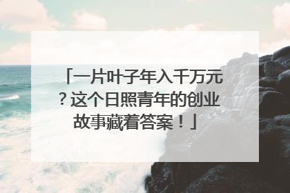 一片叶子年入千万元？这个日照青年的创业故事藏着答案！