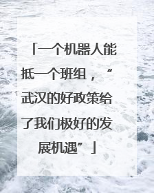 一个机器人能抵一个班组，“武汉的好政策给了我们极好的发展机遇”