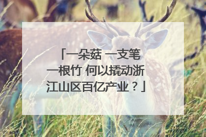 一朵菇 一支笔 一根竹 何以撬动浙江山区百亿产业？