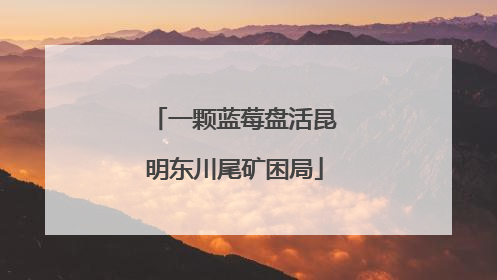 一颗蓝莓盘活昆明东川尾矿困局