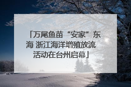 万尾鱼苗“安家”东海 浙江海洋增殖放流活动在台州启幕