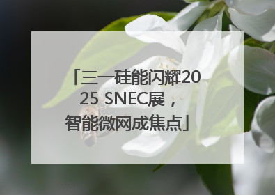 三一硅能闪耀2025 SNEC展，智能微网成焦点