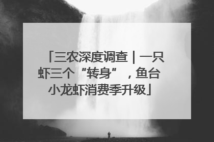 三农深度调查｜一只虾三个“转身”，鱼台小龙虾消费季升级