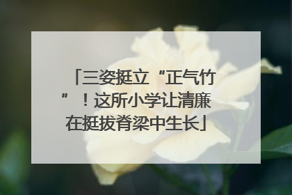 三姿挺立“正气竹”！这所小学让清廉在挺拔脊梁中生长