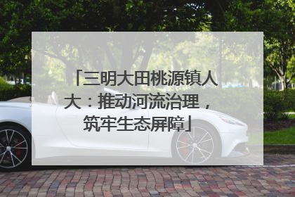 三明大田桃源镇人大：推动河流治理，筑牢生态屏障