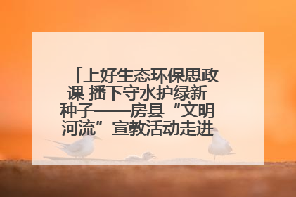 上好生态环保思政课 播下守水护绿新种子——房县“文明河流”宣教活动走进八一希望小学