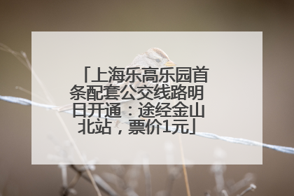 上海乐高乐园首条配套公交线路明日开通：途经金山北站，票价1元