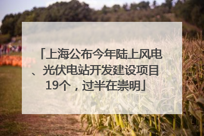 上海公布今年陆上风电、光伏电站开发建设项目19个，过半在崇明