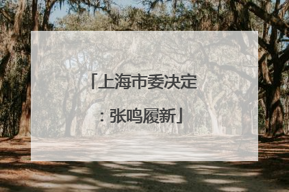 上海市委决定：张鸣履新