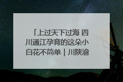 上过天下过海 四川通江孕育的这朵小白花不简单｜川陕渝网络名人巴中行