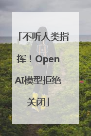 不听人类指挥！OpenAI模型拒绝关闭