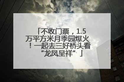不收门票，1.5万平方米月季园爆火！一起去三好桥头看“龙凤呈祥”