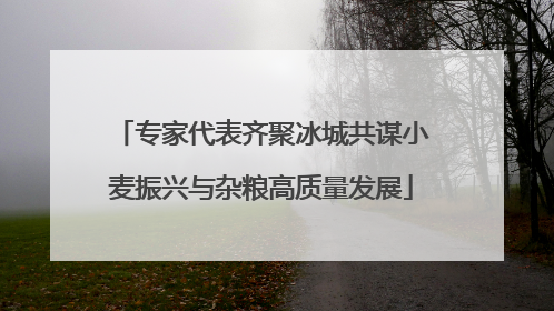 专家代表齐聚冰城共谋小麦振兴与杂粮高质量发展