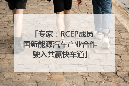专家：RCEP成员国新能源汽车产业合作驶入共赢快车道