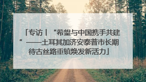 专访丨“希望与中国携手共建”——土耳其加济安泰普市长期待古丝路重镇焕发新活力