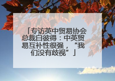 专访英中贸易协会总裁白彼得：中英贸易互补性很强，“我们没有歧视”
