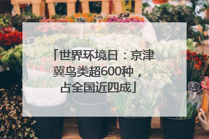 世界环境日:京津冀鸟类超600种,占全国近四成