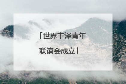 世界丰泽青年联谊会成立