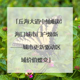 丘海大道中轴崛起 海口城市门户焕新——城市更新驱动区域价值蝶变
