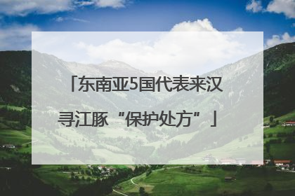 东南亚5国代表来汉寻江豚“保护处方”