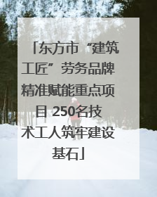 东方市“建筑工匠”劳务品牌精准赋能重点项目 250名技术工人筑牢建设基石