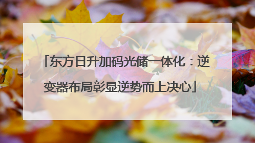 东方日升加码光储一体化：逆变器布局彰显逆势而上决心