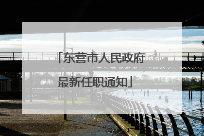 东营市人民政府最新任职通知
