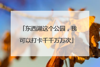 东西湖这个公园，我可以打卡千千万万次