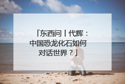 东西问丨代辉：中国恐龙化石如何对话世界？