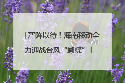 严阵以待！海南移动全力迎战台风“蝴蝶”