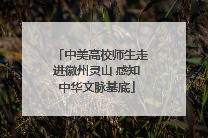中美高校师生走进徽州灵山 感知中华文脉基底