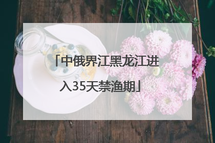 中俄界江黑龙江进入35天禁渔期