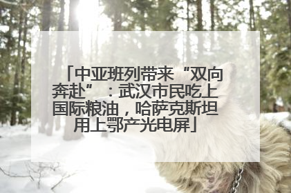 中亚班列带来“双向奔赴”：武汉市民吃上国际粮油，哈萨克斯坦用上鄂产光电屏