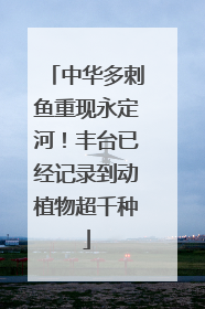 中华多刺鱼重现永定河！丰台已经记录到动植物超千种