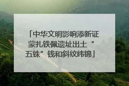 中华文明影响添新证 蒙扎铁佩遗址出土“五铢”钱和斜纹纬锦