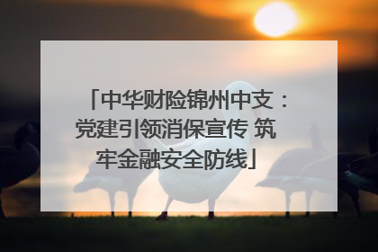中华财险锦州中支：党建引领消保宣传 筑牢金融安全防线