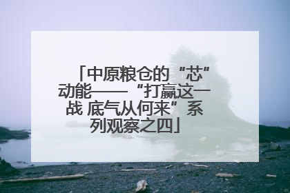 中原粮仓的“芯”动能——“打赢这一战 底气从何来”系列观察之四