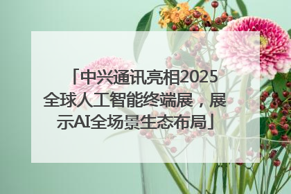 中兴通讯亮相2025全球人工智能终端展，展示AI全场景生态布局