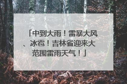 中到大雨！雷暴大风、冰雹！吉林省迎来大范围雷雨天气！