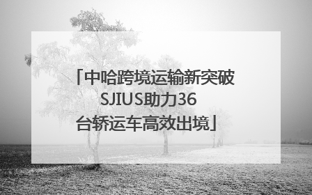中哈跨境运输新突破 SJIUS助力36台轿运车高效出境