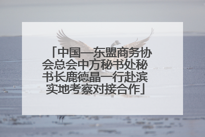 中国—东盟商务协会总会中方秘书处秘书长鹿德晶一行赴滨实地考察对接合作