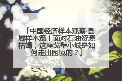 中国经济样本观察·县域样本篇丨面对石油资源枯竭，这座戈壁小城是如何走出困境的？