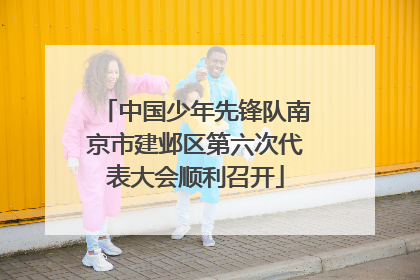 中国少年先锋队南京市建邺区第六次代表大会顺利召开