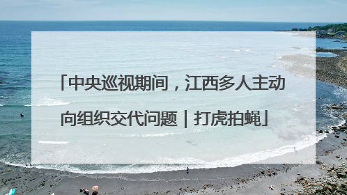 中央巡视期间，江西多人主动向组织交代问题｜打虎拍蝇