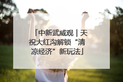 中新武威观｜天祝大红沟解锁“清凉经济”新玩法
